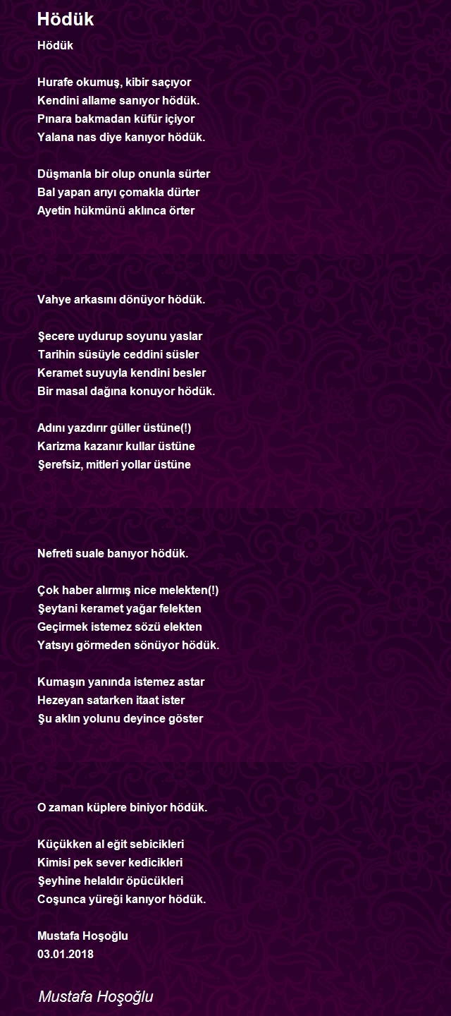 Mustafa Hoşoğlu