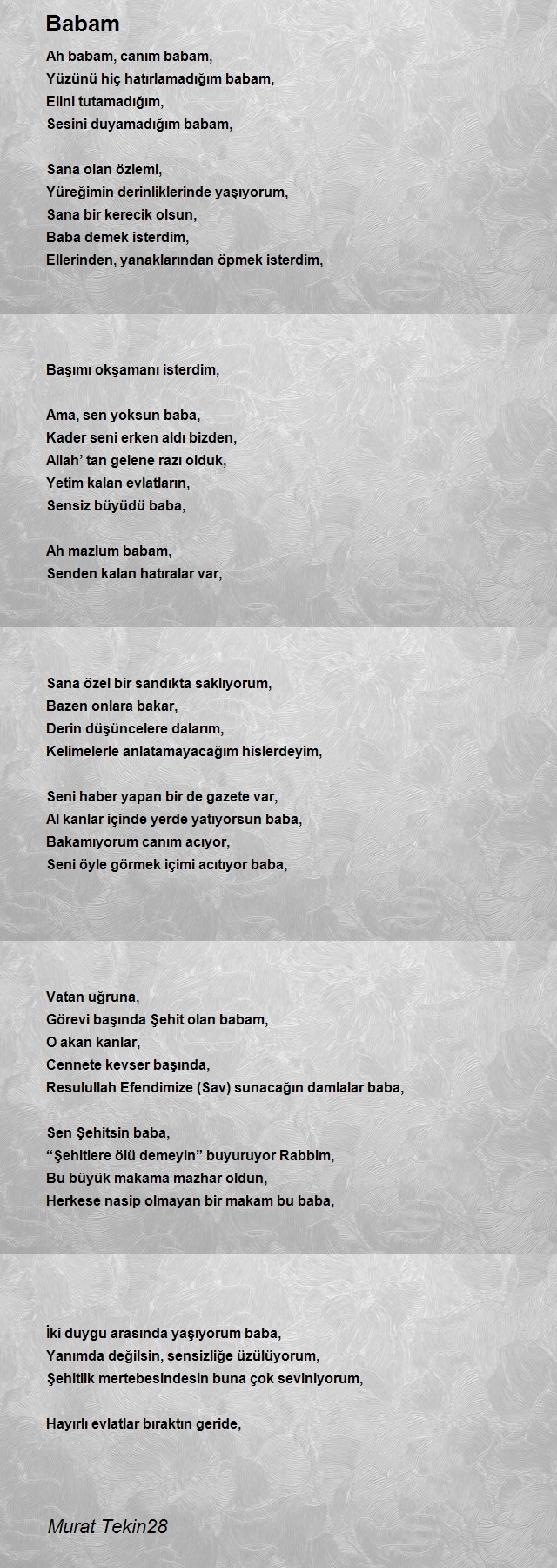 Murat Tekin28