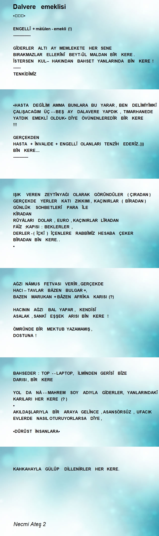 Necmi Ateş 2