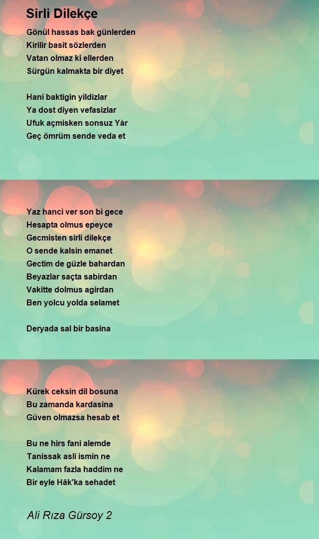Ali Rıza Gürsoy 2