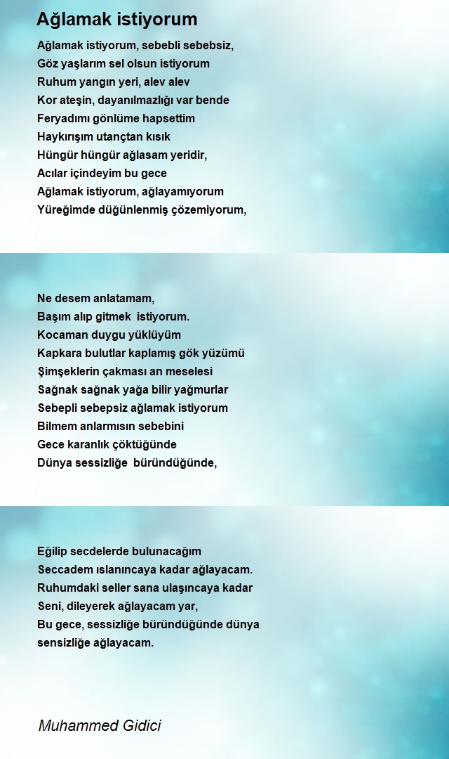 Muhammed Gidici