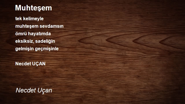 Necdet Uçan