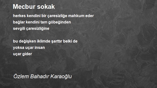 Özlem Bahadır Karaoğlu