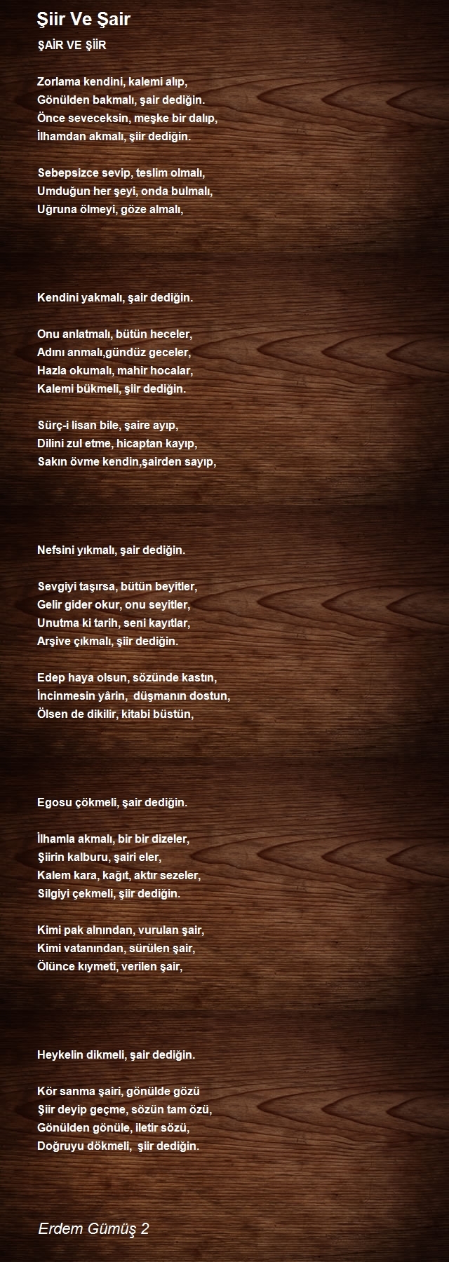 Erdem Gümüş 2