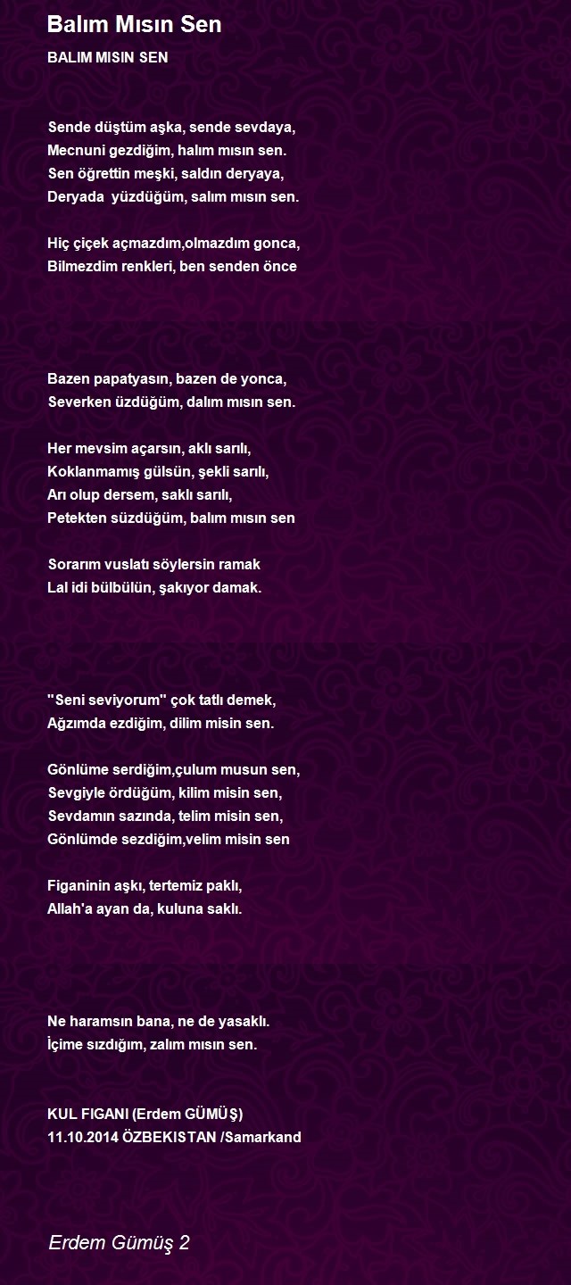 Erdem Gümüş 2