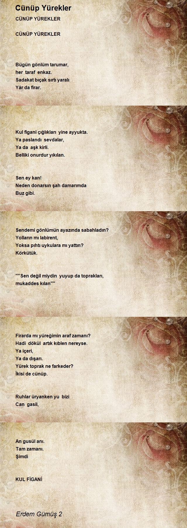 Erdem Gümüş 2