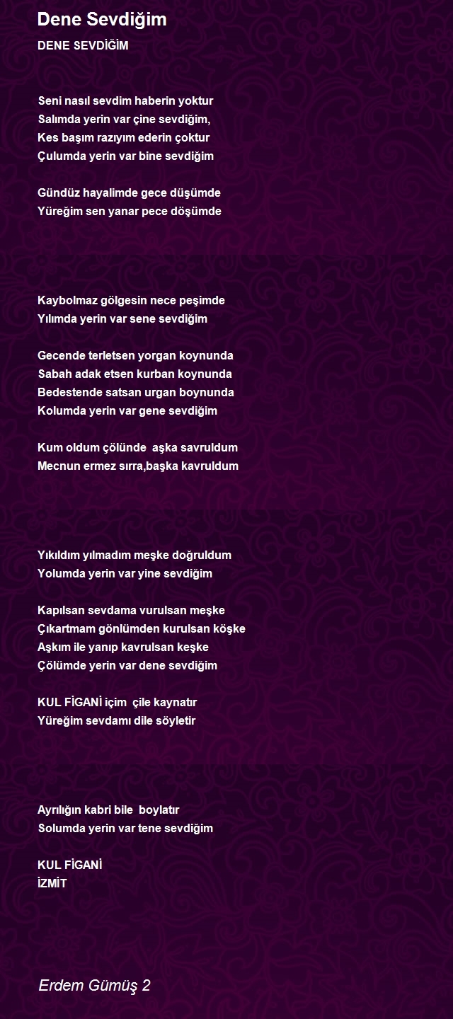 Erdem Gümüş 2