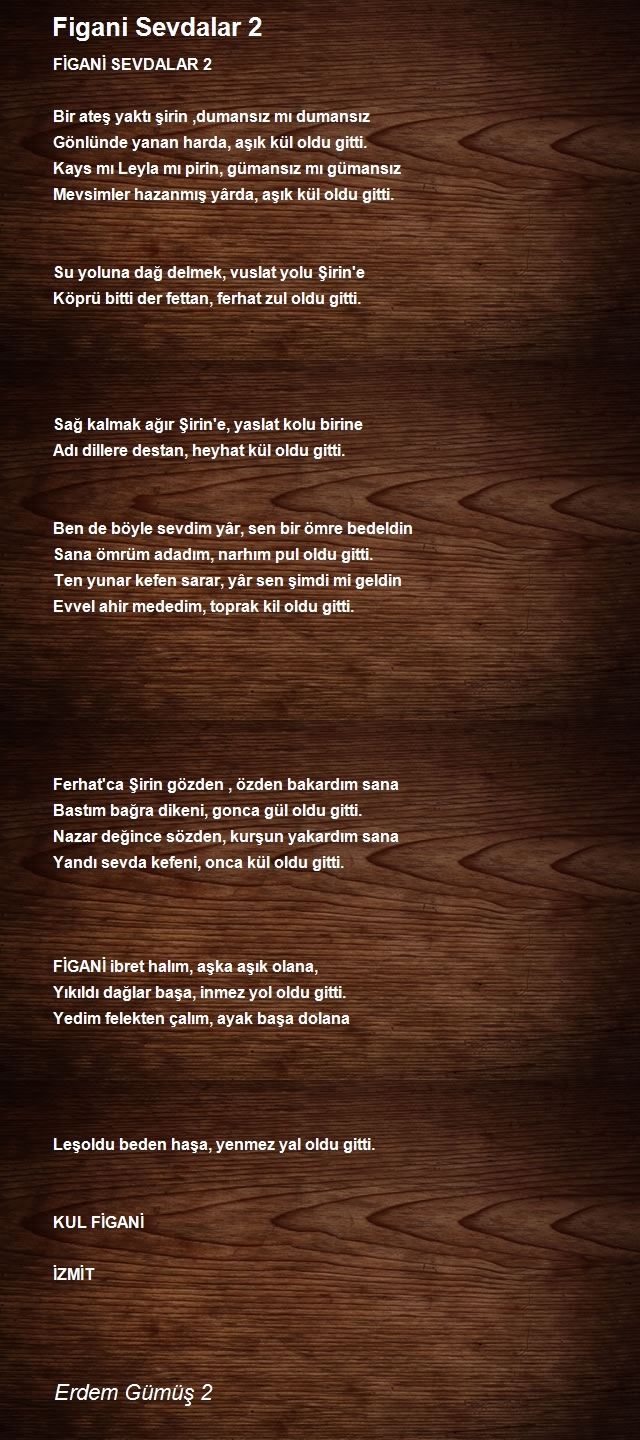 Erdem Gümüş 2