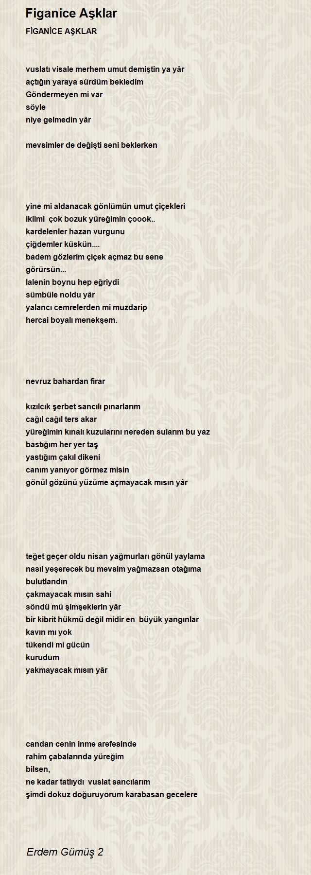 Erdem Gümüş 2