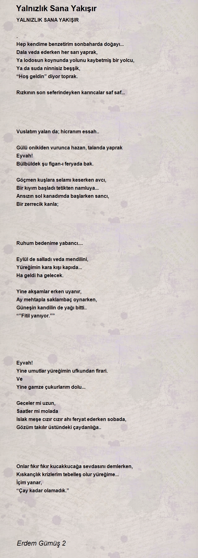 Erdem Gümüş 2