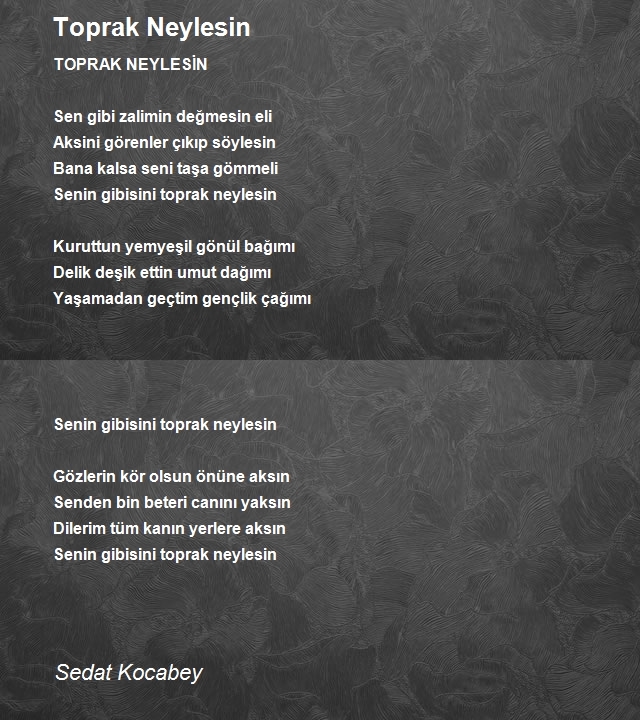 Sedat Kocabey