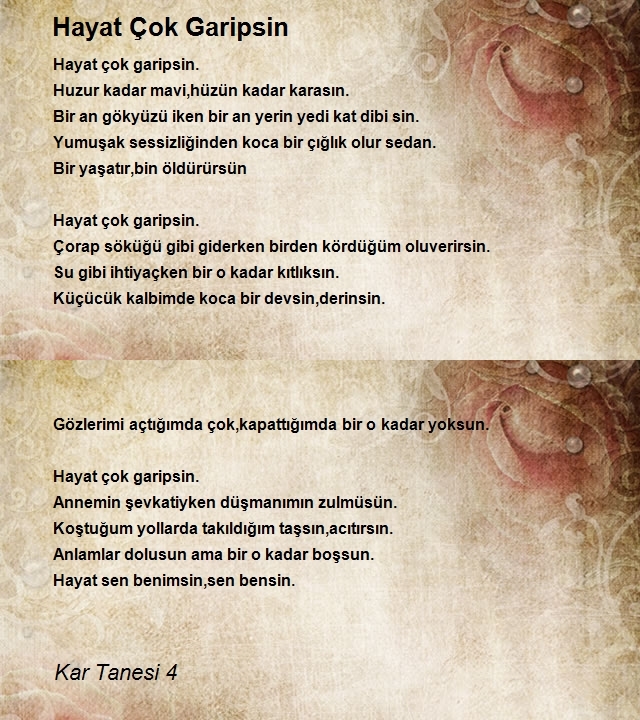 Kar Tanesi 4
