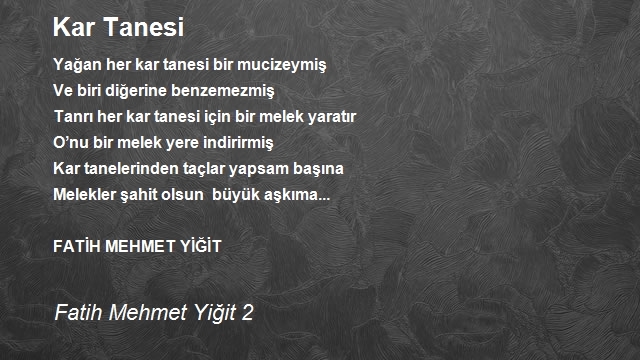 Fatih Mehmet Yiğit 2