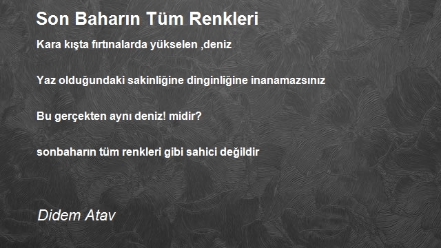 Didem Atav