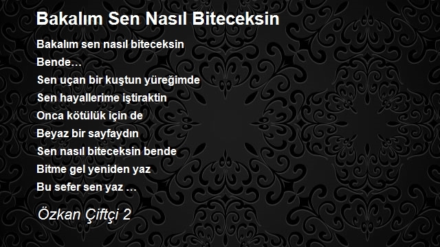 Özkan Çiftçi 2