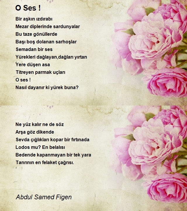 Abdul Samed Figen