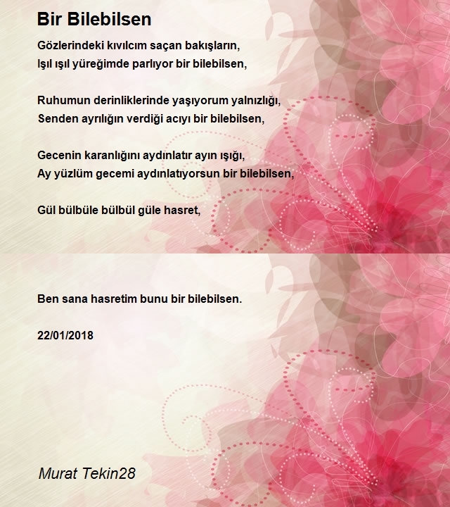 Murat Tekin28