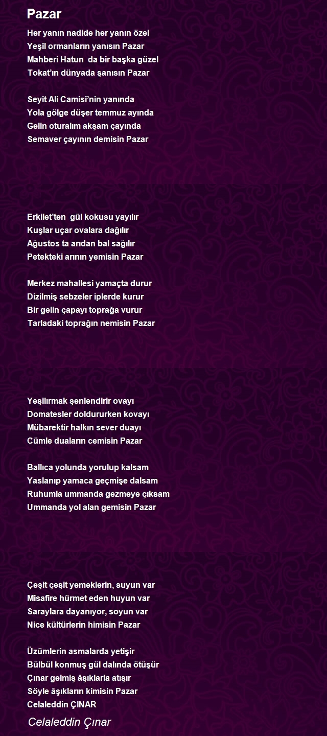 Celaleddin Çınar