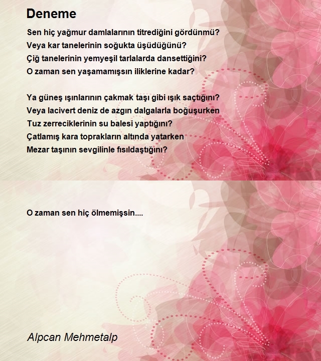 Alpcan Mehmetalp