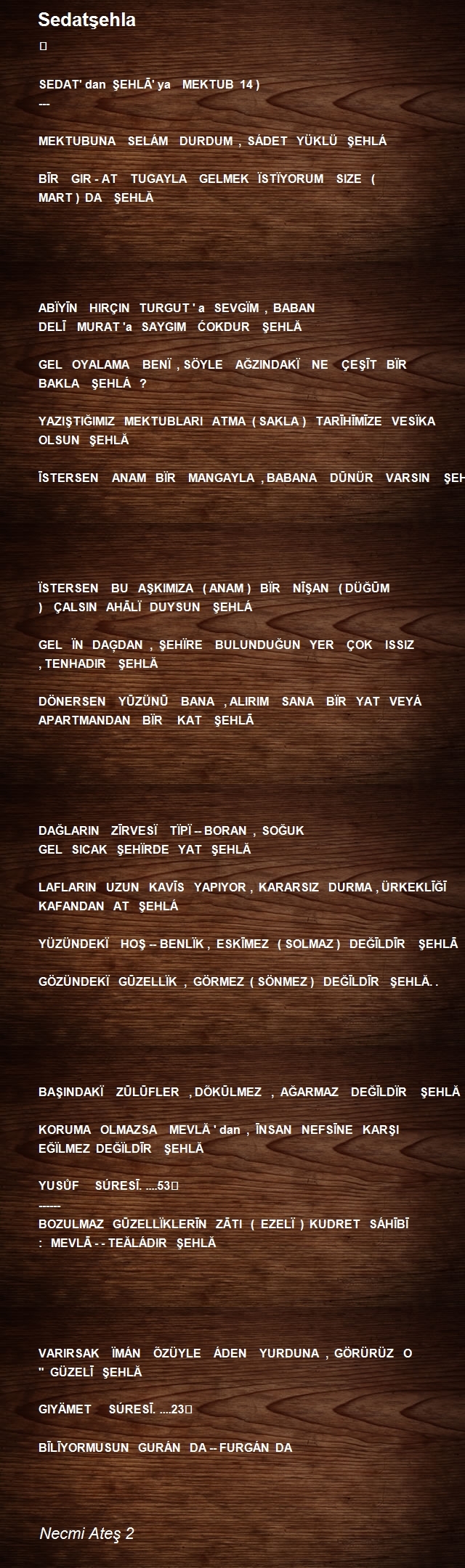 Necmi Ateş 2