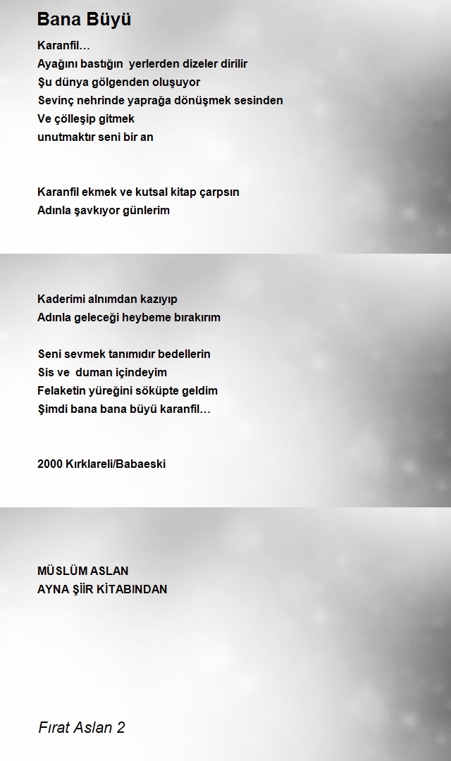 Fırat Aslan 2