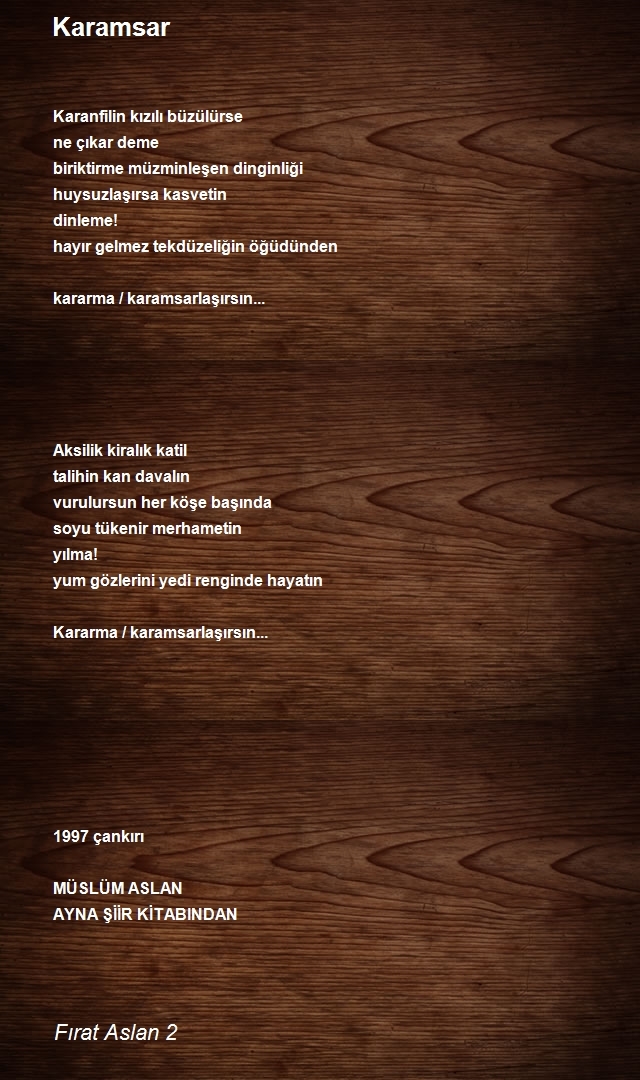 Fırat Aslan 2