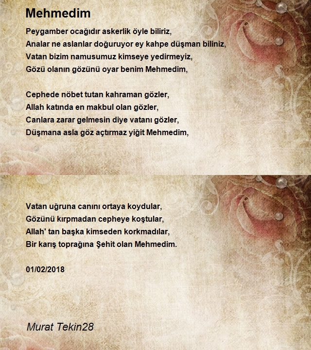 Murat Tekin28