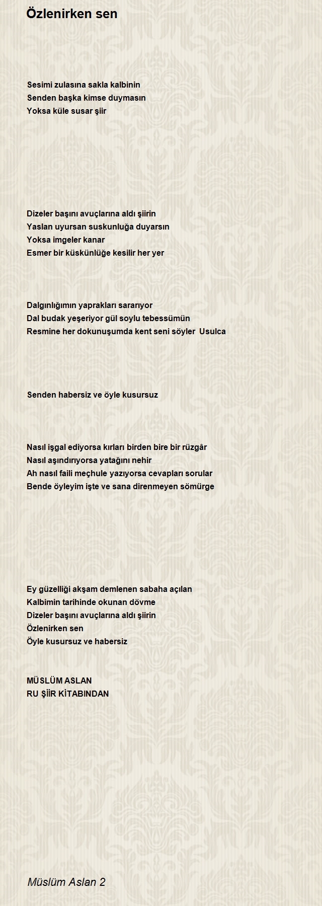 Müslüm Aslan 2