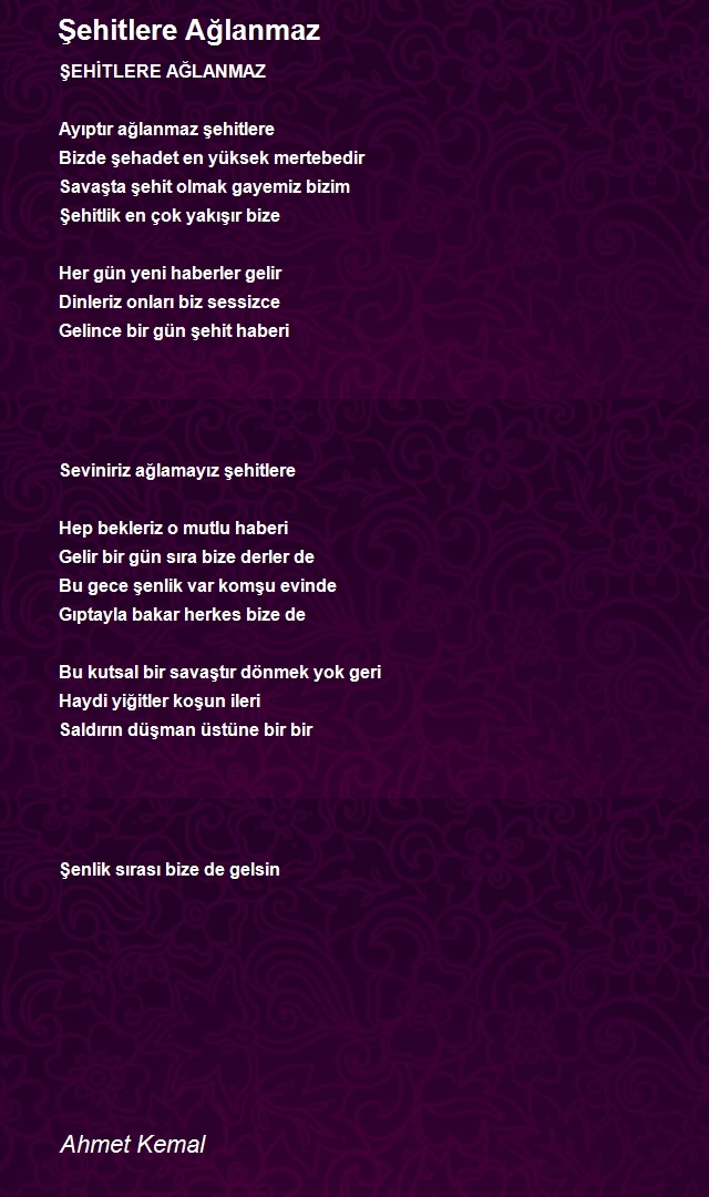 Ahmet Kemal