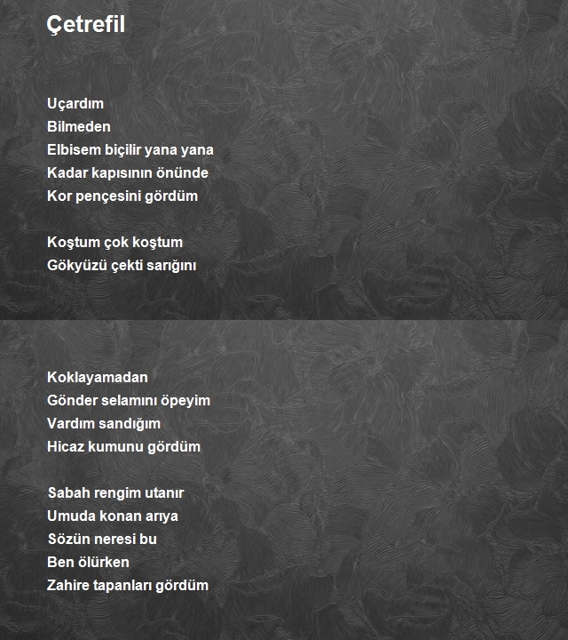 Gökçe Özer