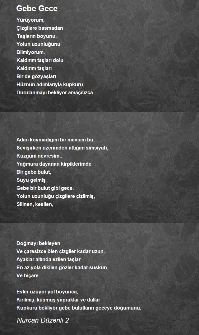 Nurcan Düzenli 2