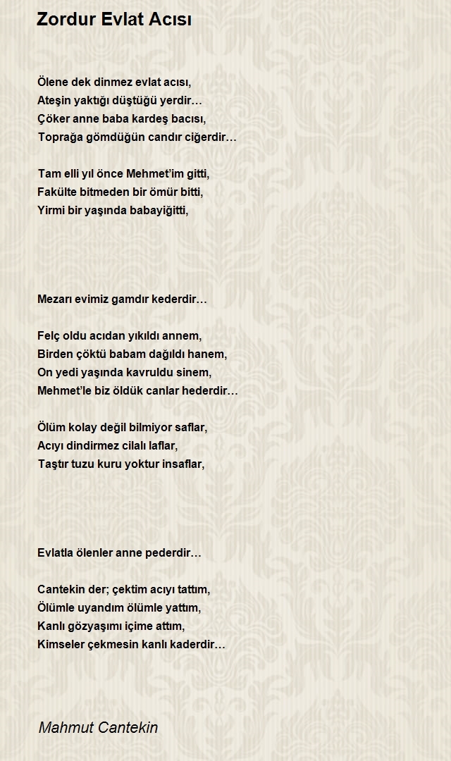 Mahmut Cantekin