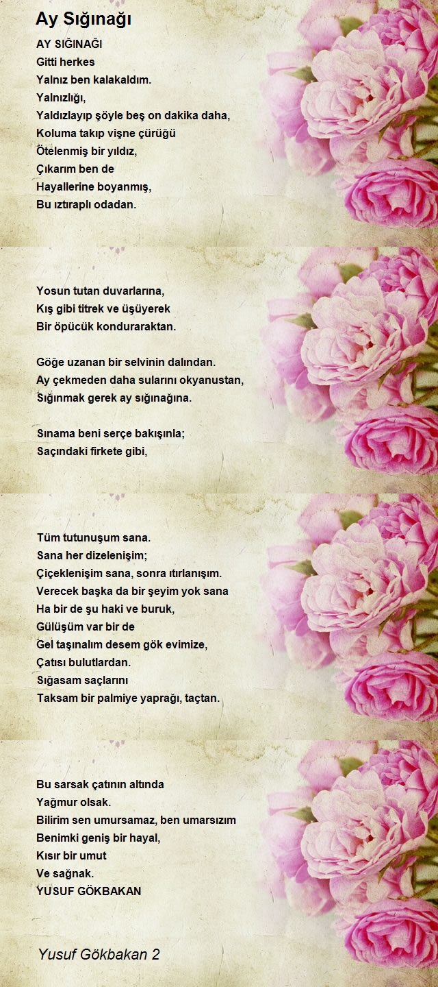 Yusuf Gökbakan 2
