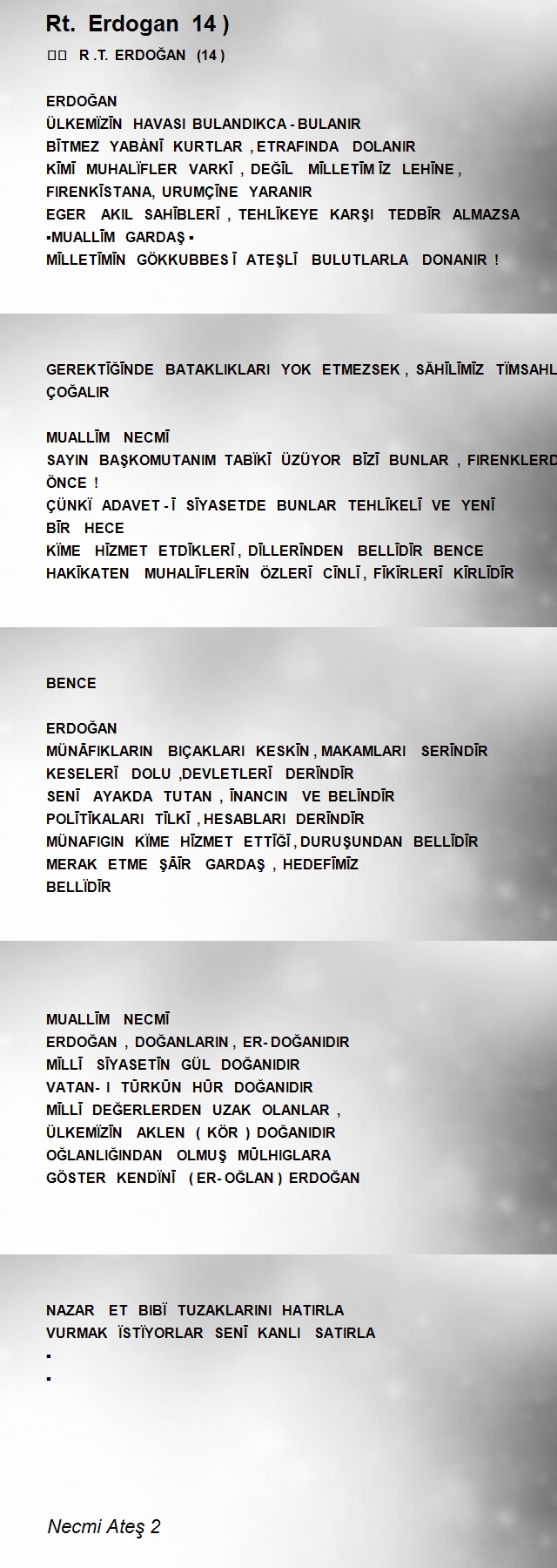 Necmi Ateş 2