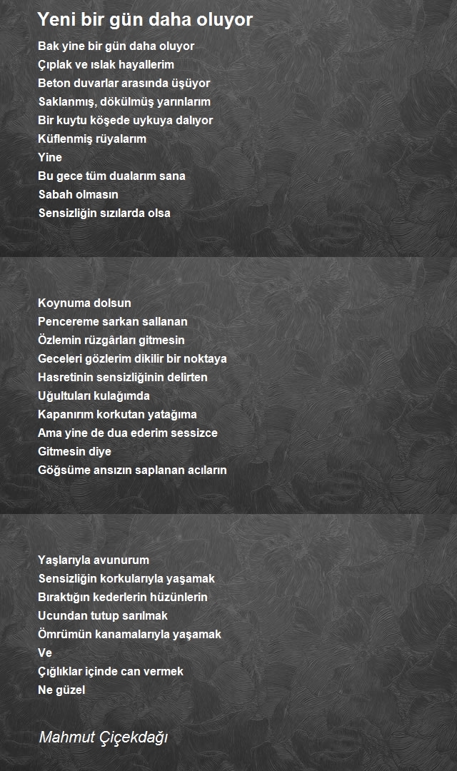 Mahmut Çiçekdağı