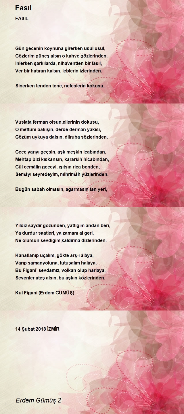Erdem Gümüş 2