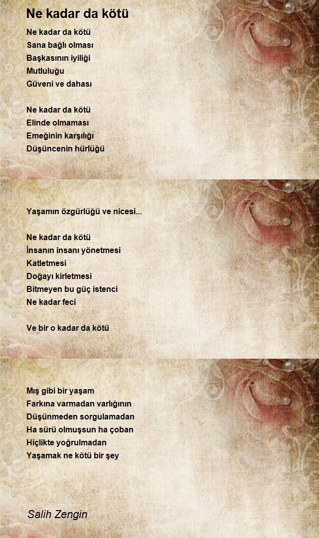 Salih Zengin