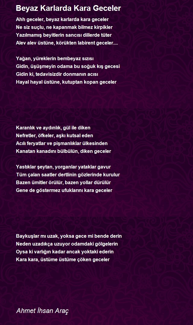 Ahmet Ihsan Arac