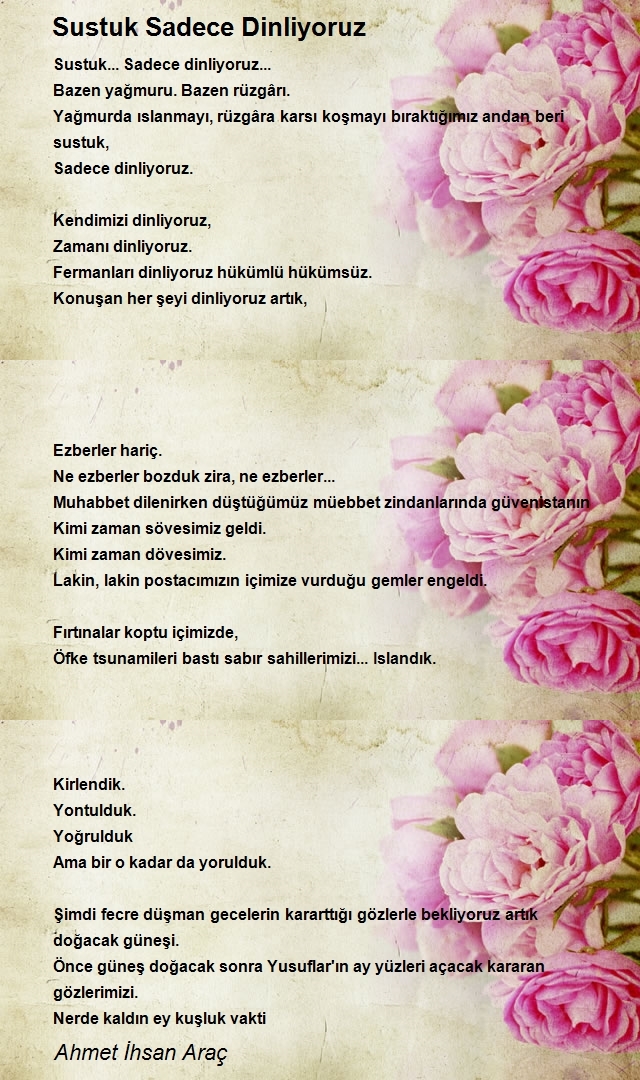 Ahmet Ihsan Arac