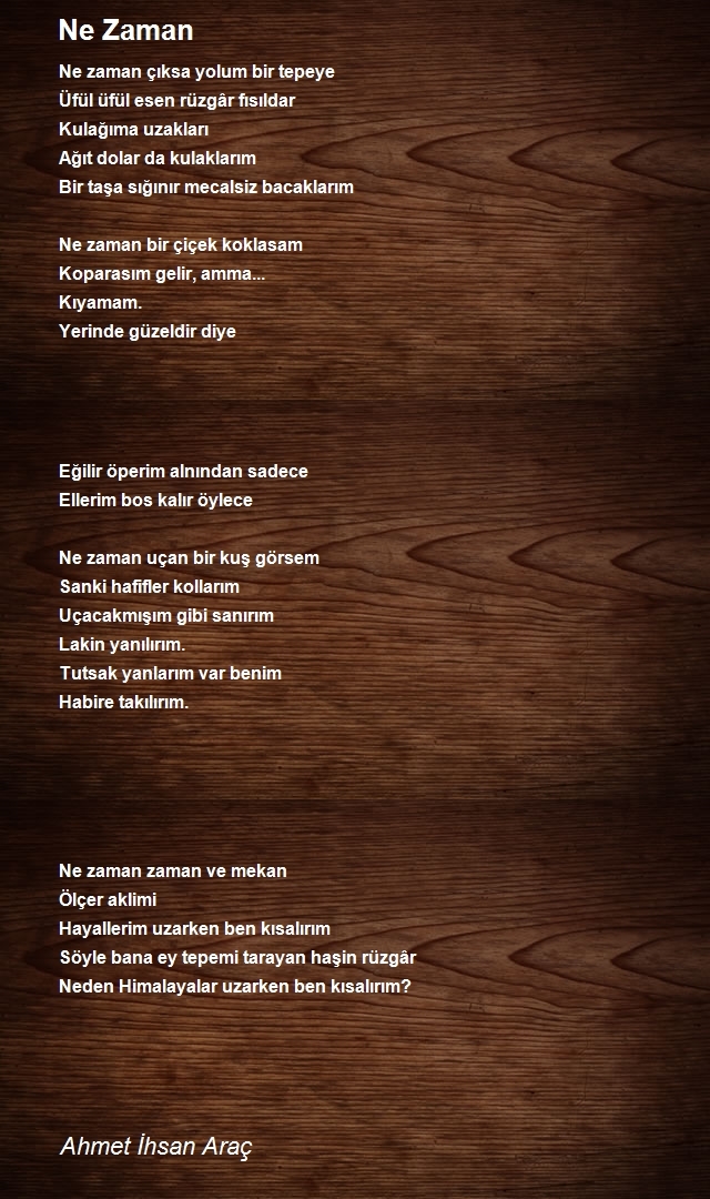Ahmet Ihsan Arac