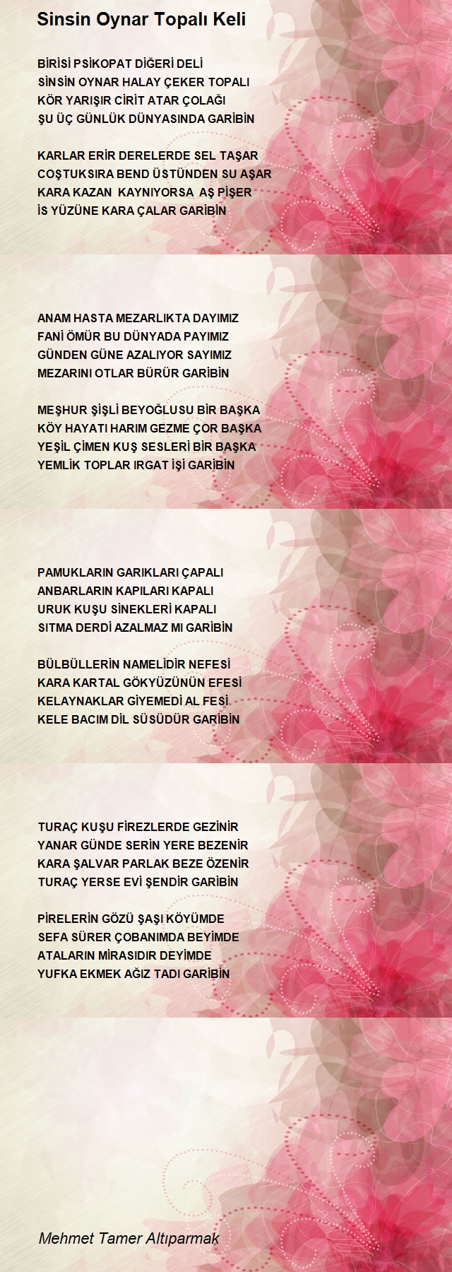 Mehmet Tamer Altıparmak