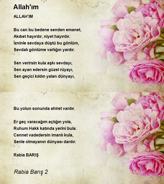 Rabia Barış 2