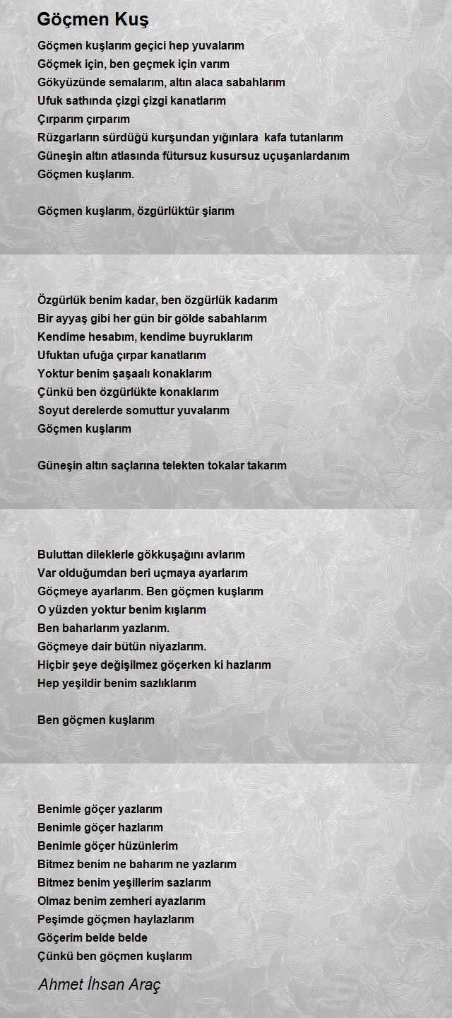 Ahmet Ihsan Arac