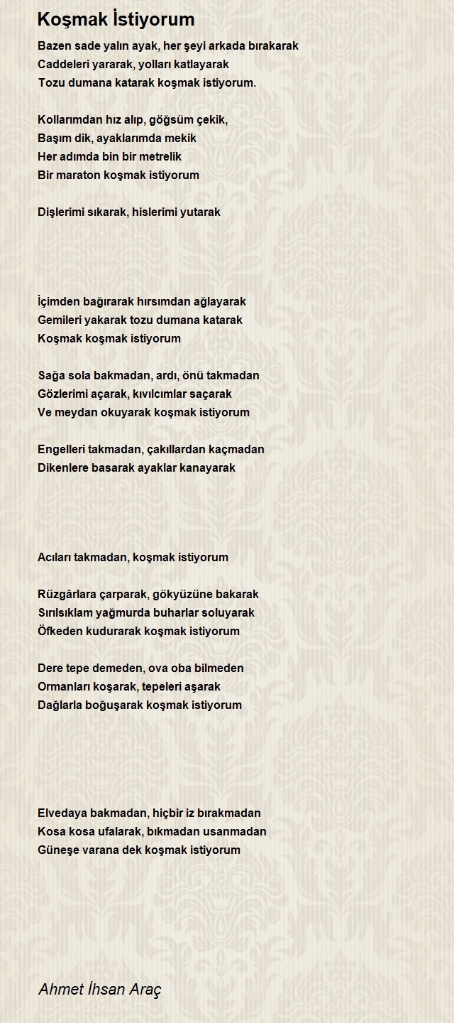 Ahmet Ihsan Arac