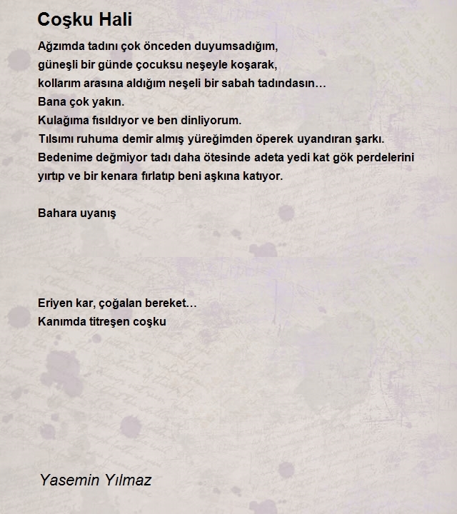 Yasemin Yılmaz