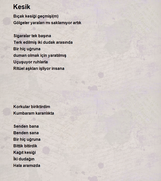 Serkan Sinan