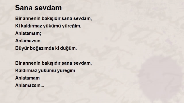 Emrullah Arslan 2