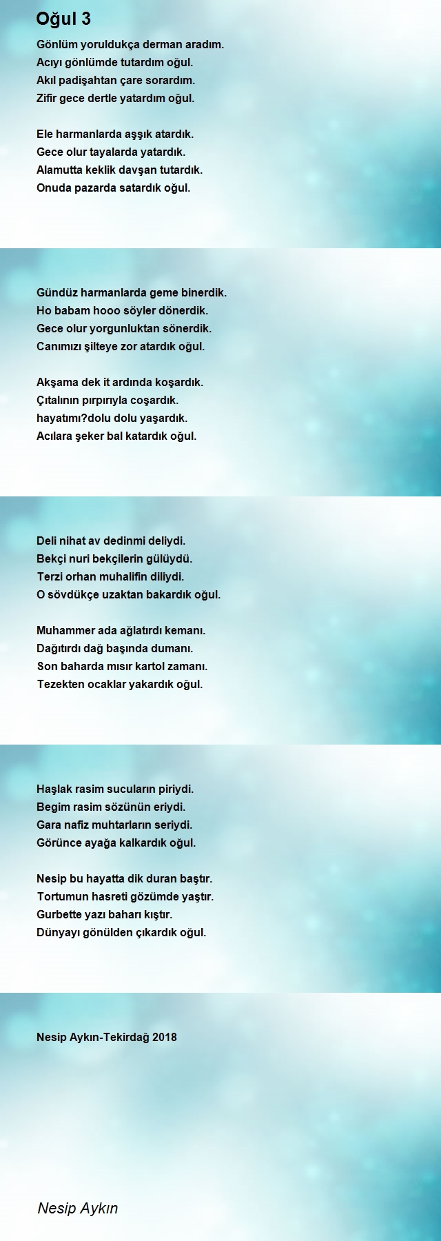 Nesip Aykın