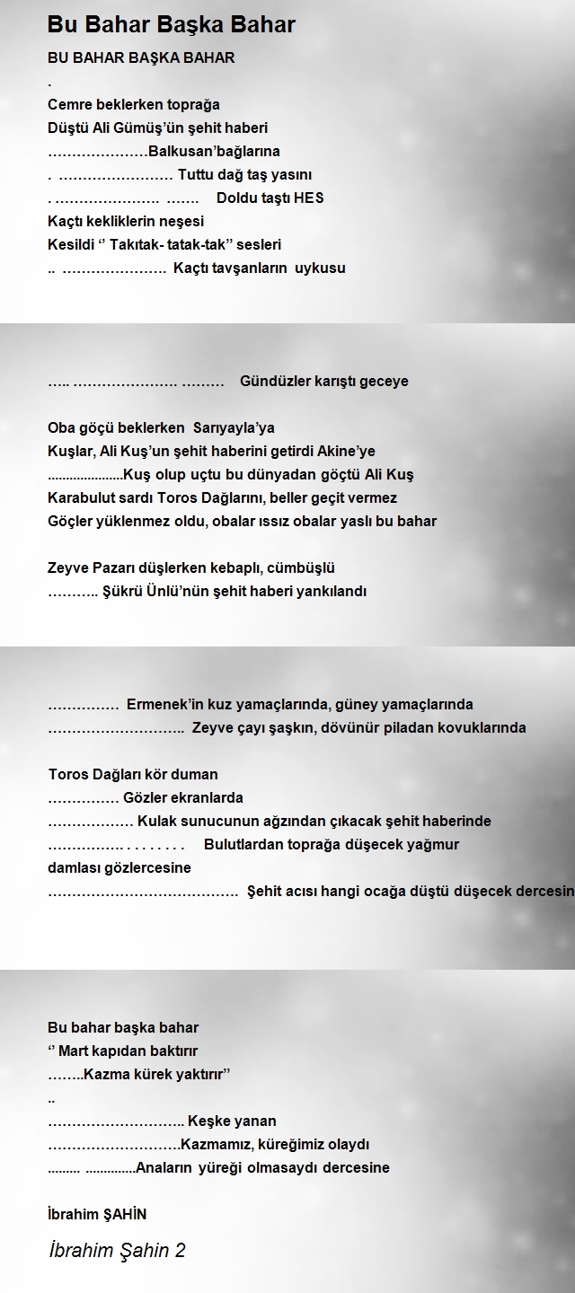 İbrahim Şahin 2