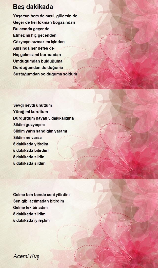 Acemi Kuş